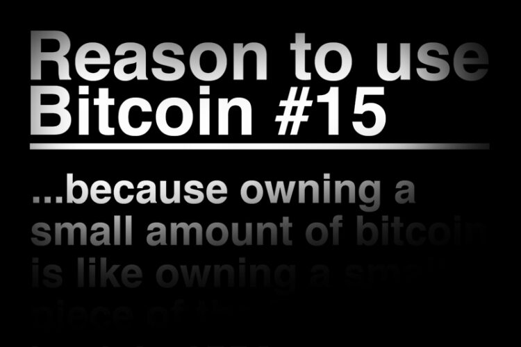 Owning bitcoin is like owning a piece of the Internet back in 1994